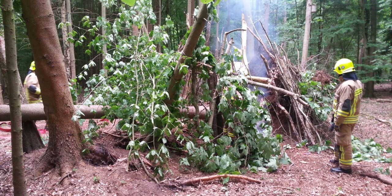 Kleinfeuer im Wald