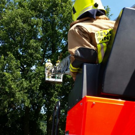 Der abgebrochene Ast wird gesichert und zerteilt