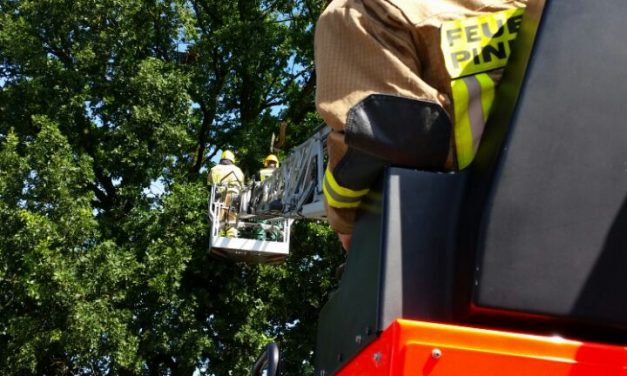 Ast droht auf PKW zu Fallen