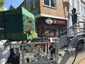 Weitere Bienen finden den Weg zu ihrer Königin