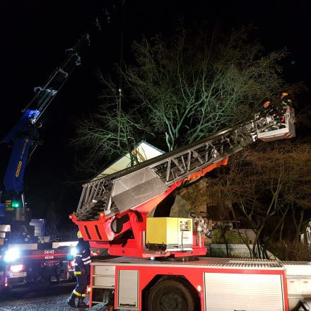 Der Baum lehnt nun an einem Mehrfamilienhaus...