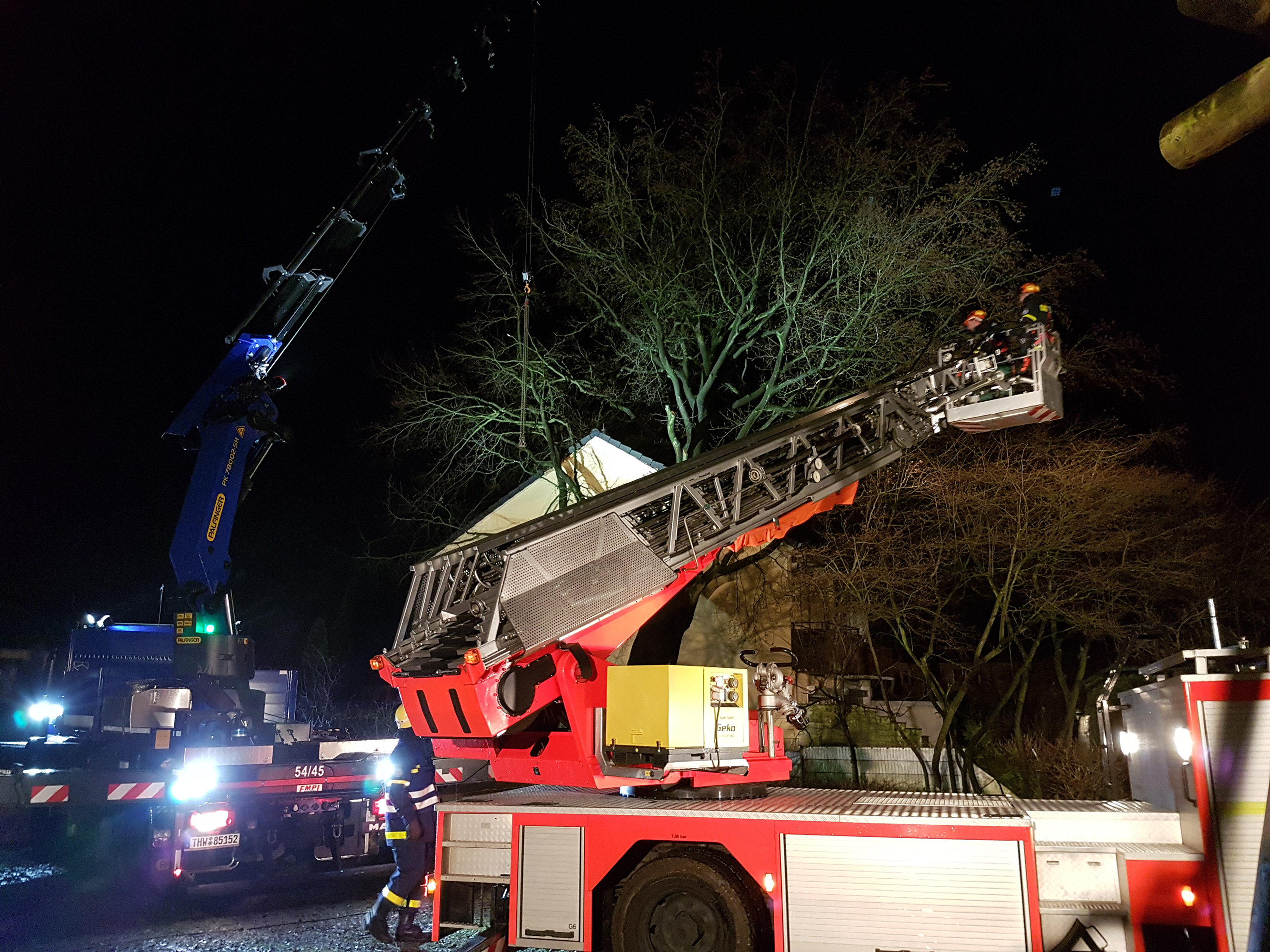 Der Baum lehnt nun an einem Mehrfamilienhaus...