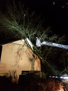 Äste werden mit dem Kran gesichert und aus dem Korb der DLK abgesägt