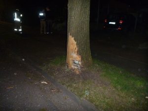 Der Baum am Straßenrand wurde auch in Mitleidenschaft gezogen!