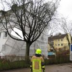 Es hatte sich in einem Baum aufgehängt und drohte auf einen Parkplatz zu fallen