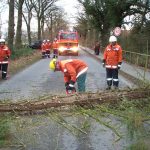 Hier versperrte ein Baum die gesamte Fahrbahn. Mit der Motorkettensäge konnte dieser schnell beseitigt werden