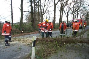 Nach dem der Baum zerkleinert und beseitigt wurde, konnte die Straße mit einem Besen gereinigt werden