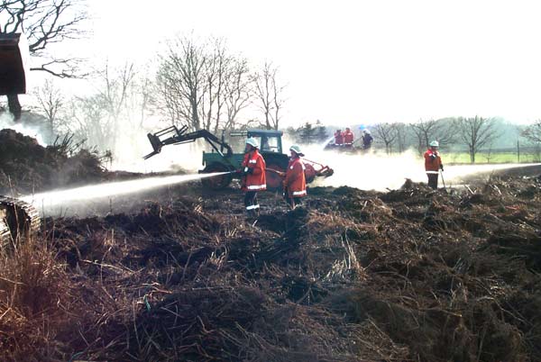 Der Flächenbrand hatte sich schon bis zu den im Hintergrund stehenden Bäumen ausgeweitet. Beim Eintreffen der ersten Einsatzkräfte konnten diese geschützt werden