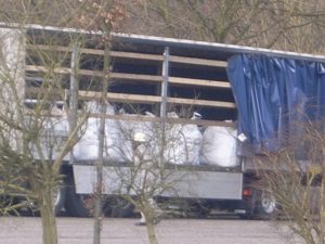 Der Fachberater Chemie des Kreises Pinneberg bei der ersten kurzen Erkundung