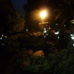 An der Raa3
