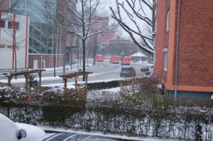 Das erste Löschfahrzeug gefolgt von drei Rettungswagen.