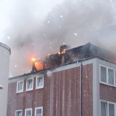 Die Holzkonstruktion war mit Faserzementplatten verkleidet und mit einem Bitumendach versehen.