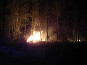 Heftiger Feuerschein im Unterholz