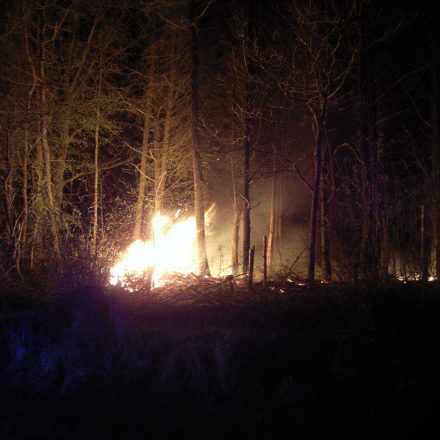 Heftiger Feuerschein im Unterholz