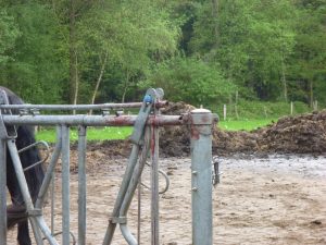 Das Gatter nach der Rettung