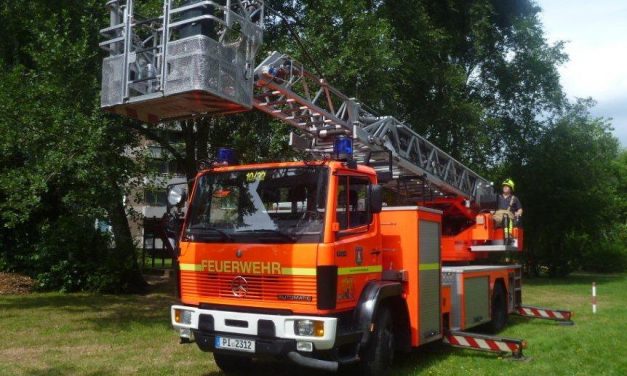 Großer Ast droht auf Spielplatz zu fallen.