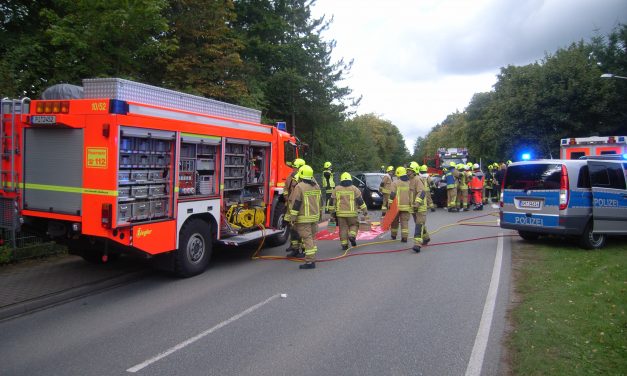 Unfall mit eingeklemmter Person