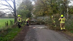 Ein Baum versperrte die Straße An der Raa