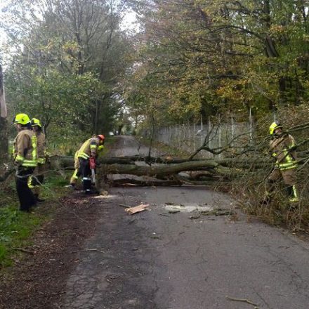 Ein Baum versperrte die Straße An der Raa