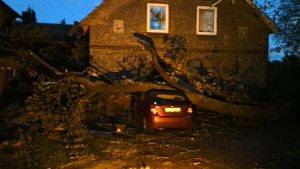 Ein großer Ast war auf ein Haus sowie ein Auto gestürzt