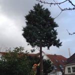 Mit einem leichten Schubs und etwas Zugkraft an der Leine wurde die Gefahr beseitigt.