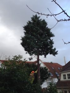 Mit einem leichten Schubs und etwas Zugkraft an der Leine wurde die Gefahr beseitigt.