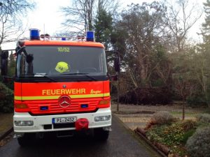 Aufgestellter Wurzelteller und Baum in bedächtlicher Schräglage