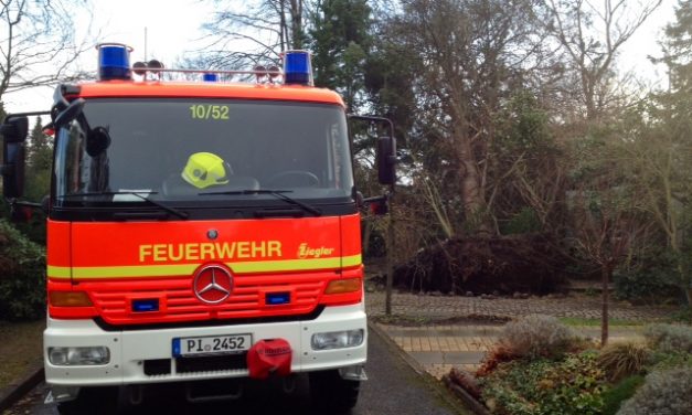 Baum auf Carport gestürzt