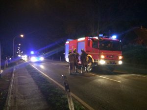 Tanklöschfahrzeug 20/40 Sonderlöschmittel und Skippy an der Einsatzstelle