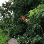 Der Weg war nicht mehr passierbar