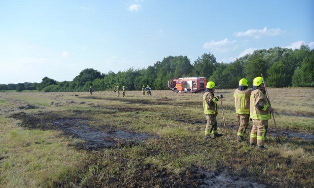 Ausgedehnte Flächenbrände