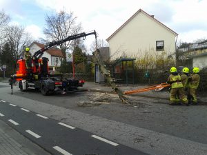 Der Baum wird mit dem Kran von der Unterstand gehoben