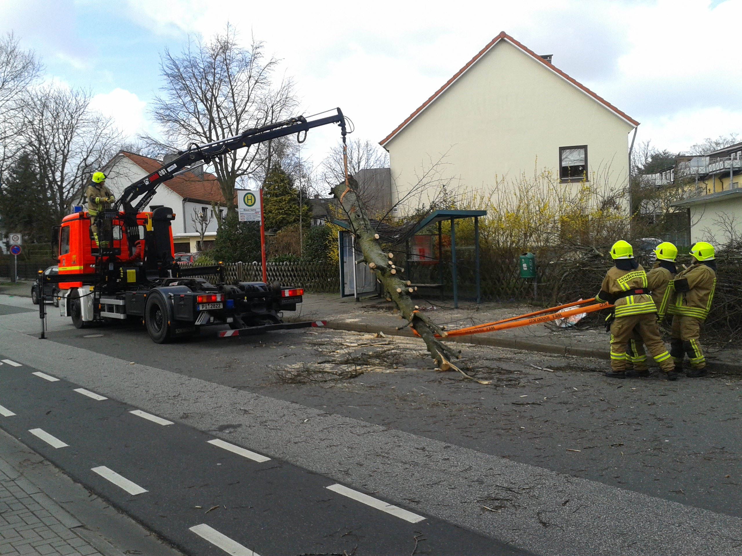 Der Baum wird mit dem Kran von der Unterstand gehoben