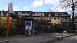 Der Baum liegt auf dem Unterstand