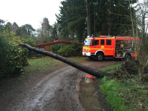 Auch dieser Baum musste beseitigt werden
