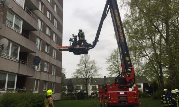 Notfall Personenrettung mittels Teleskopmast