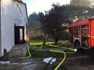 Leicht diesig, der abziehende Qualm aus dem Reitstall