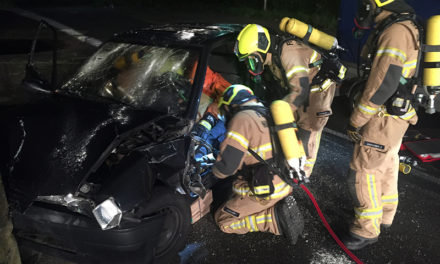 Gemeinsame Übung mit der Feuerwehr Halstenbek