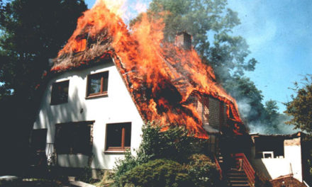 Reetdachhausbrand in Waldenau
