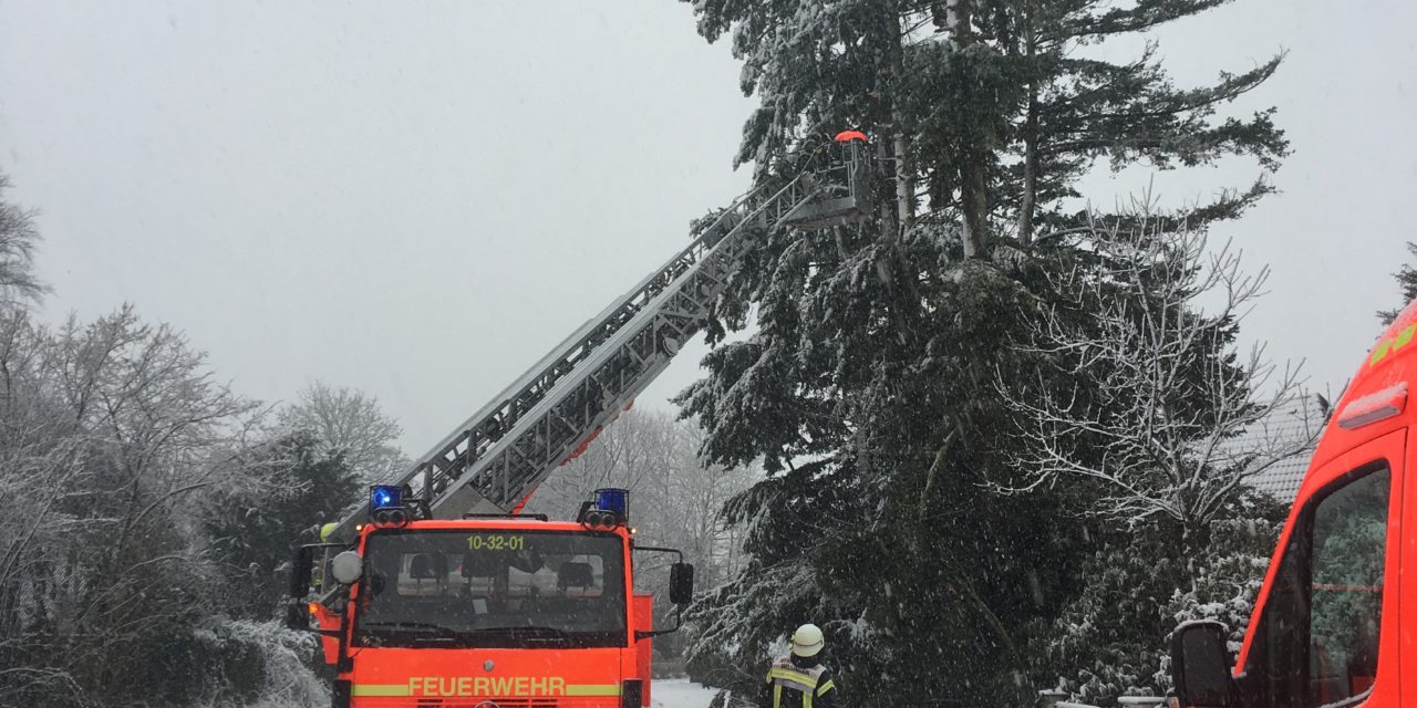 Unterstützung Unwetterschaden in Rellingen