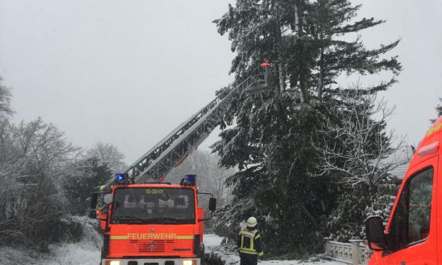 Unterstützung Unwetterschaden in Rellingen