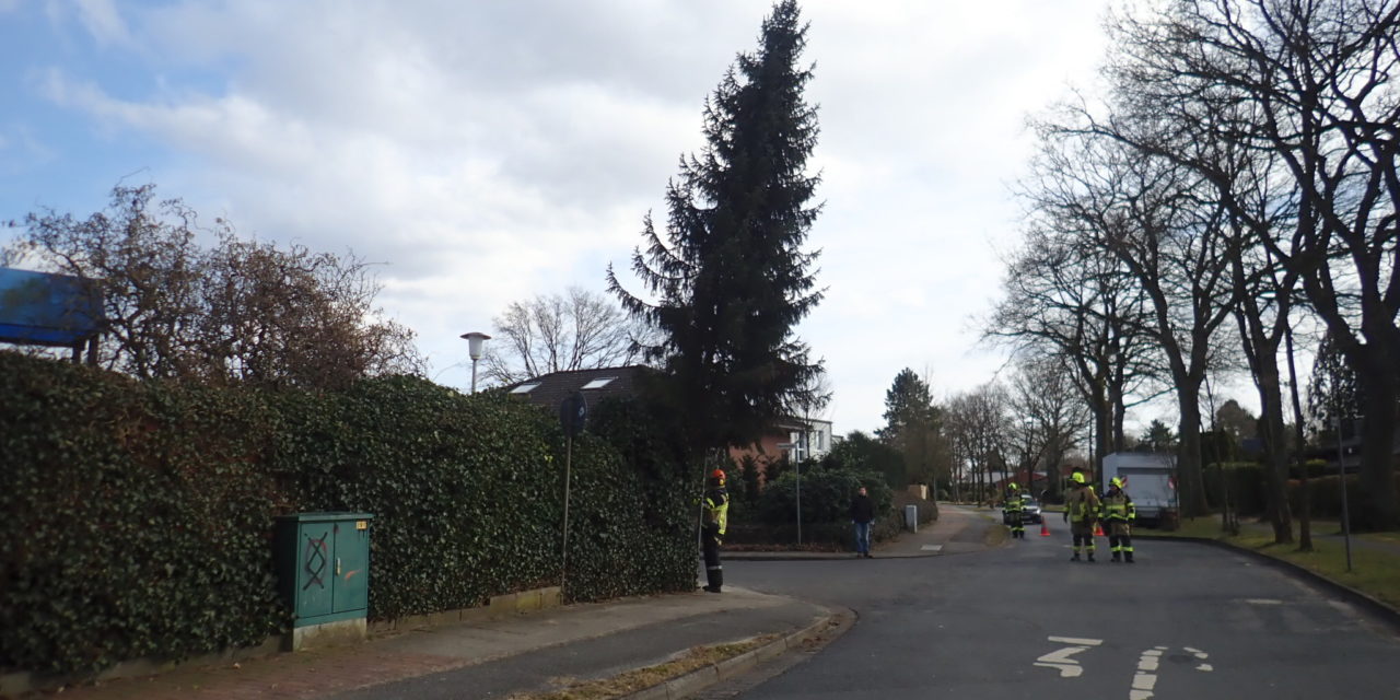 Baum droht zu fallen