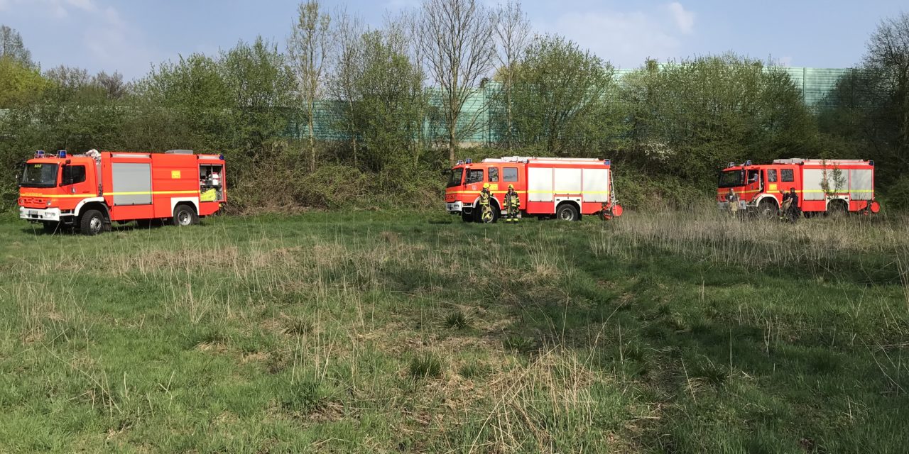 Flächenbrand