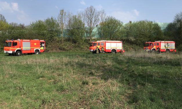 Flächenbrand