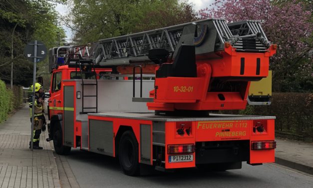 Baum droht zu fallen