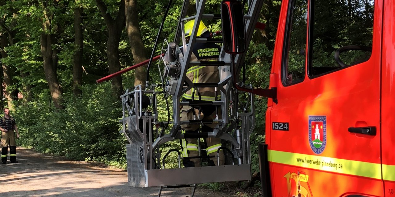 Ast droht abzustürzen