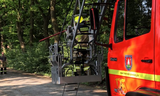 Ast droht abzustürzen