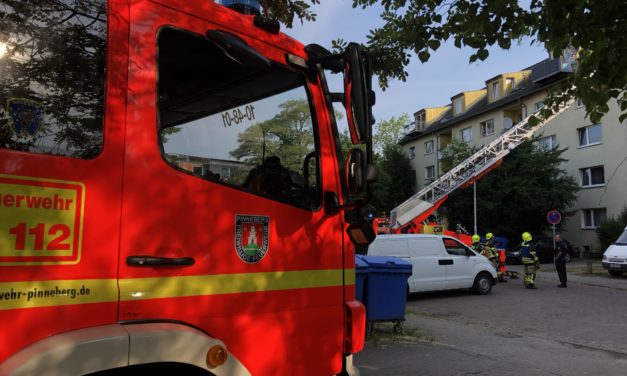 Ausgelöster Rauchwarnmelder