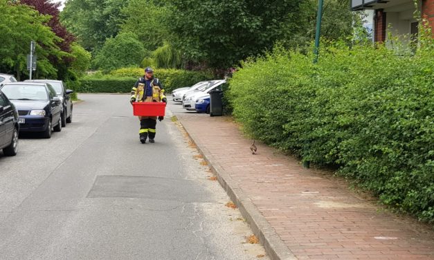 Feuerwehr stoppt Verkehr für Entenfamilie