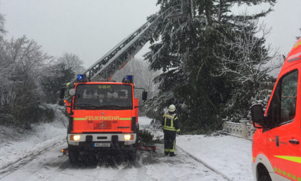 Frohe Weihnachten und ein gesundes neues Jahr